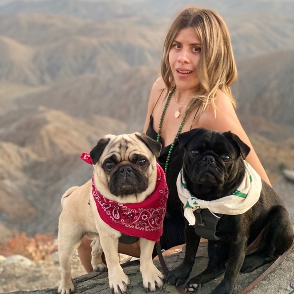 Meet your Posher, Lauren - Picture 2 of 6